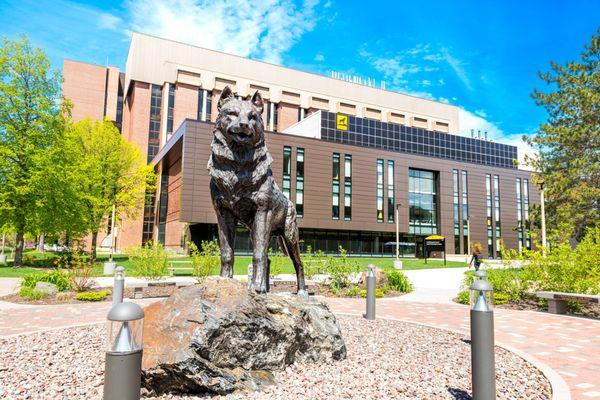 H-STEM Complex behind the husky statue.