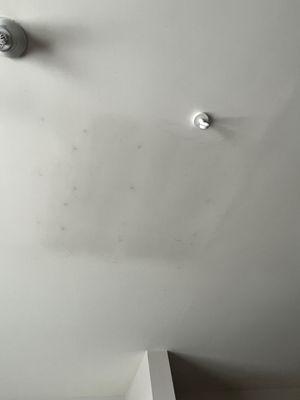 mold on living room ceiling