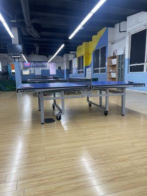 Hyundae Ping Pong Club