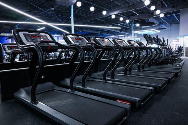 Miles of Cardio For All Your Fitness Needs!