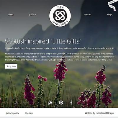 Custom Website Design created for local Portland start-up business Wee Mindings