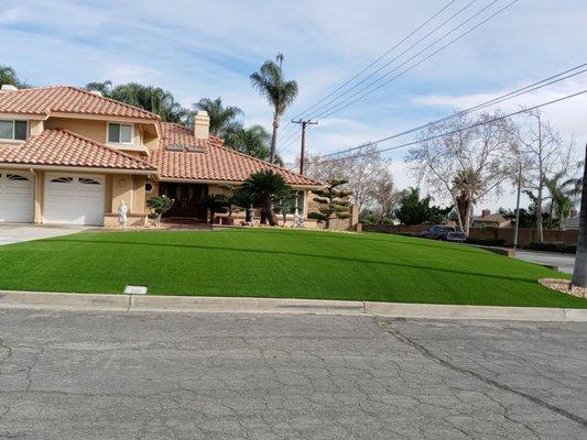 Synthetic grass. From $12 sq. ft.