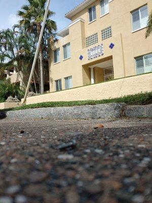 Screw on the pavement where myself and my neighbors park their cars.