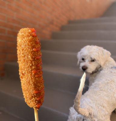 Corn dog and my corny dog