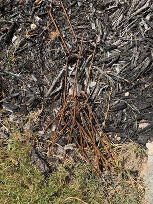 Weed barrier stakes that are littered outside