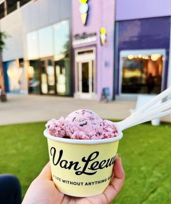 Van Leeuwen Ice Cream - Fort Worth