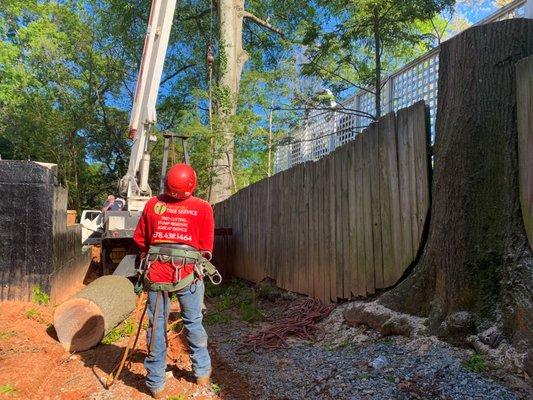 Crane Removal Specialist