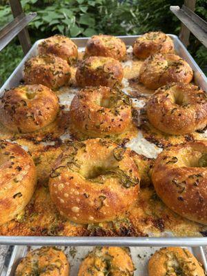 Bagel-ish Jalapeno Cheddar Bagels with house-pickled jalapeños