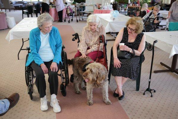 Gander is a "Lady's Pal" enjoying time with some of the women of Libertyville Manor.