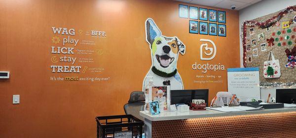 Dogtopias front reception area