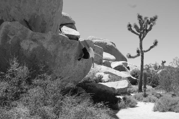 Bouldering