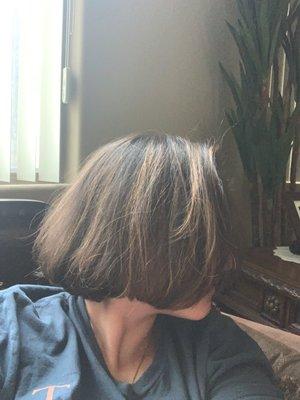 Bob cut with caramel highlights