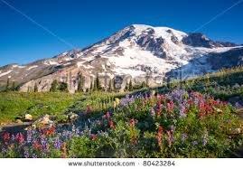 MT Rainier