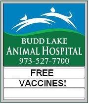 All vaccines are always FREE!