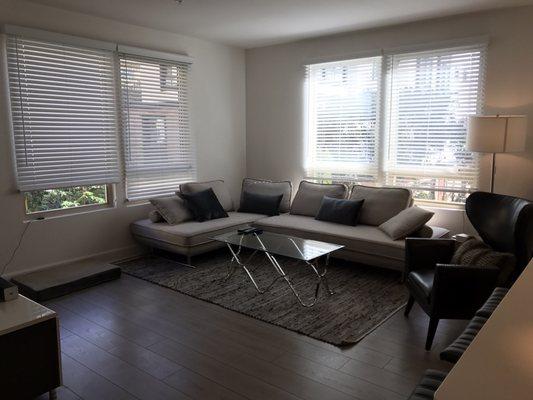 Super cute modern sectional, rug and coffee table table. Dog bed sold separately!