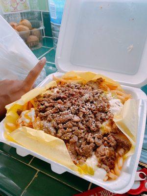 Carne Asada Fries