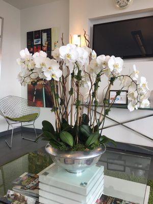 Beautiful orchid floral arrangement