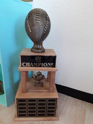 Custom Fantasy Football Awards!