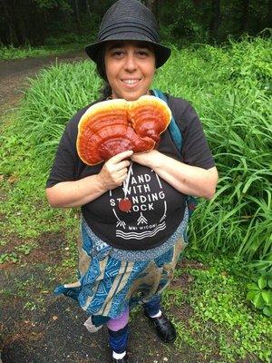 Dr. Eisenheim harvests reishi mushroom.