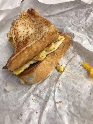 Mold on the bread