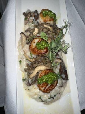 Seared Viking Village scallops - wild mushroom risotto, arugula, pesto