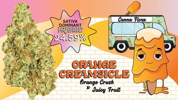 Featured Strain:
 Orange Creamsicle
 (24.59%)
 Sativa Leaning Hybrid
 Orange Crush x Juicy Fruit
 
 (THC:21+)