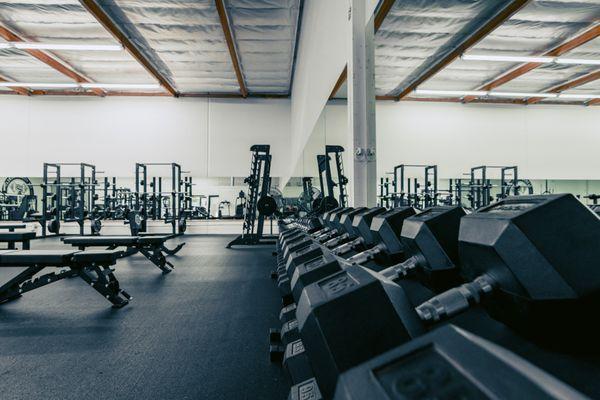 This photo showcases Rogue dumbbells, an Arsenal Strength Smith machine, squat racks, and benches.