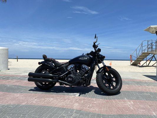 Indian Scout Bobber black