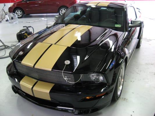 Shelby GT-350 H