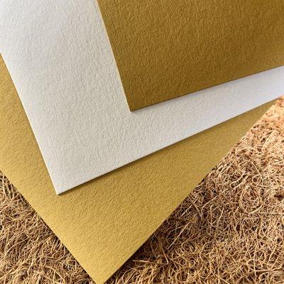 AVEO papers and envelopes, made from 90% Sugarcane stalks. Our favorite tree-free paper