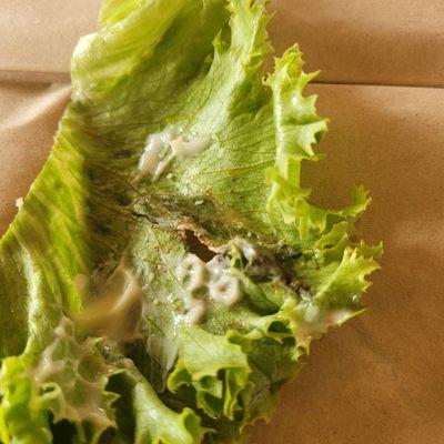 Gross lettuce!