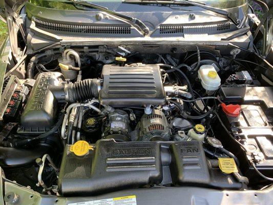 The clean new engine in my 2003 Dodge Dakota, humming along like new thanks to Dan V.