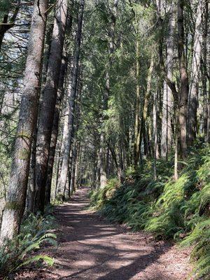 Path on Scouter mountain