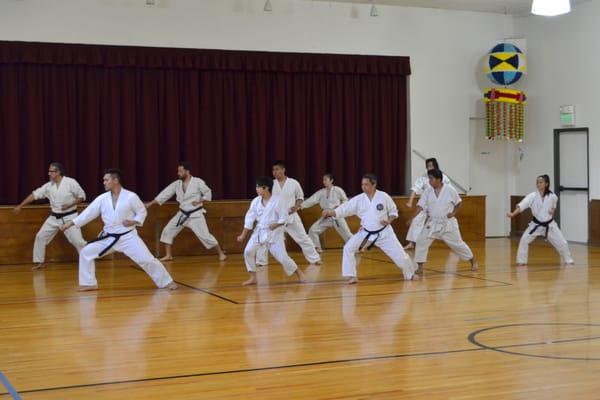 Group Kata - Heian Shodan