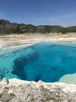 One of the many geyser's in Yellowstone National Park