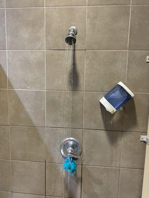 Leaking shower