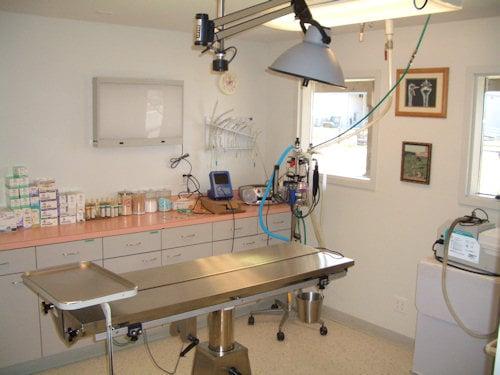 Surgical suite