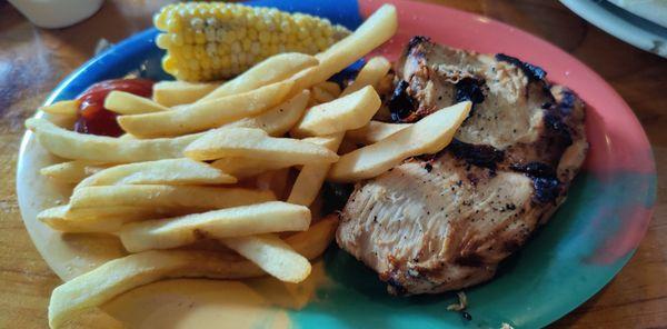 Grilled Teriyaki Chicken with Fries!