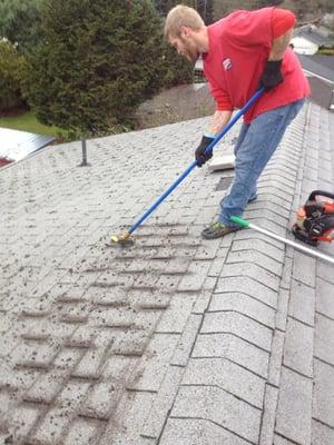 roof cleaning