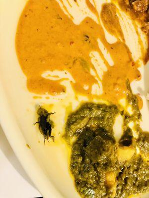 Aloo palak gravy