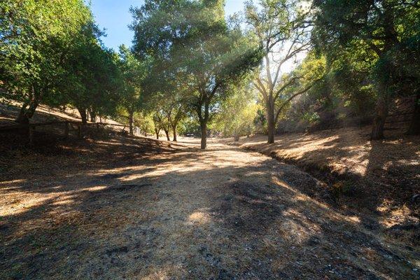 Beautiful Pasture view at 23219 Ravensbury Ave., Los Altos Hills on over 6 acres of land.