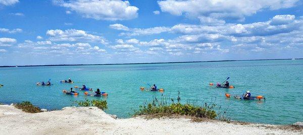 Clear Kayak Tour!