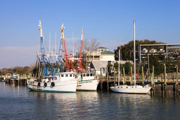 Shem Creek has the best seafood. These boats don't sit still very long.