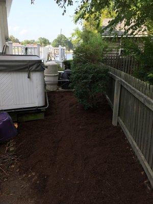 Complete Yard Renovation