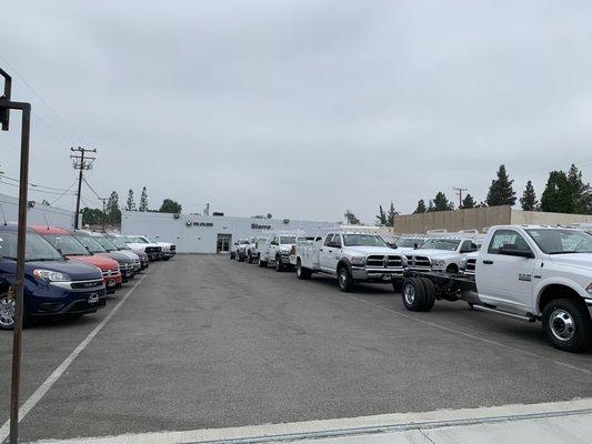 Their lot, full of commercial trucks