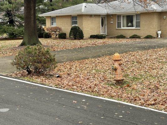 Leaf cleanup, and gutter cleaning