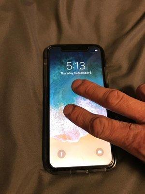 Iphone X back in Business