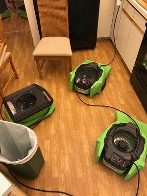 The air movers are up and running after a small water loss.