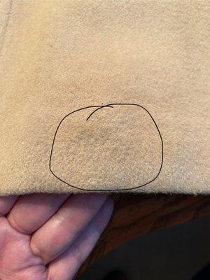 Stain about size of a dime. Second time they used something that changed the fabric.