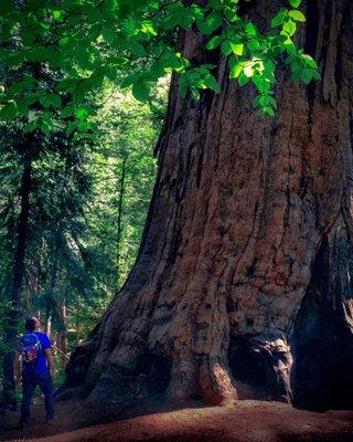 At a California State Park